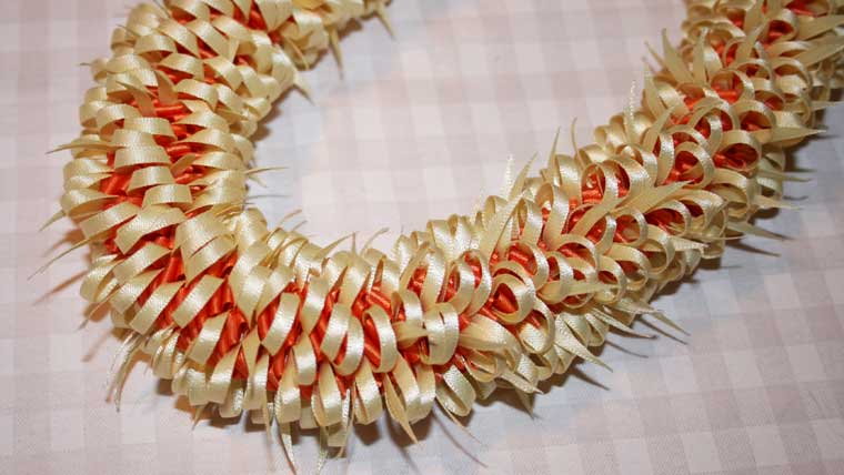 サッシーパディ